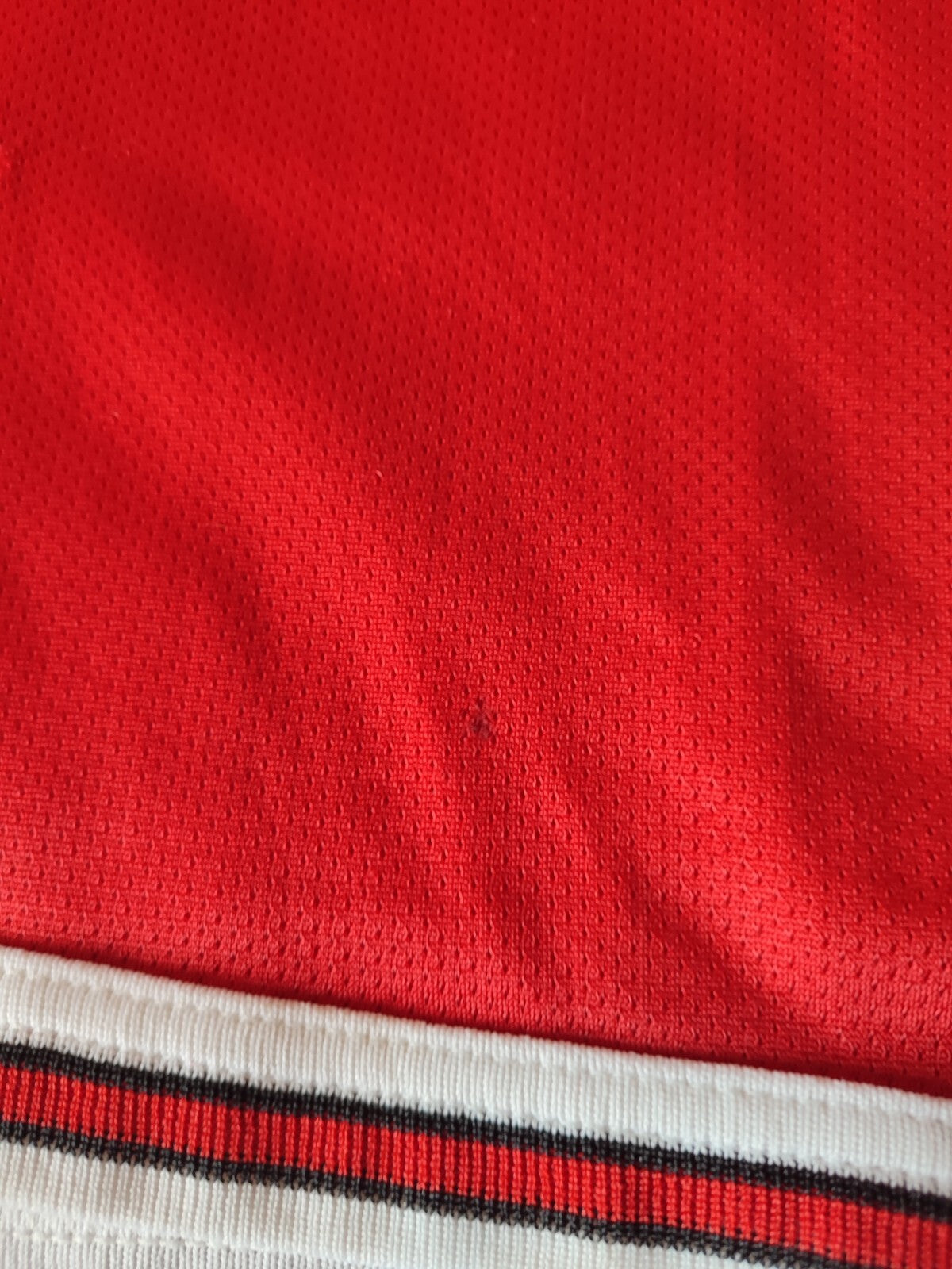 Chicago Bulls Sz XL (40-42") Basketball Champion shorts men's adult kit vintage