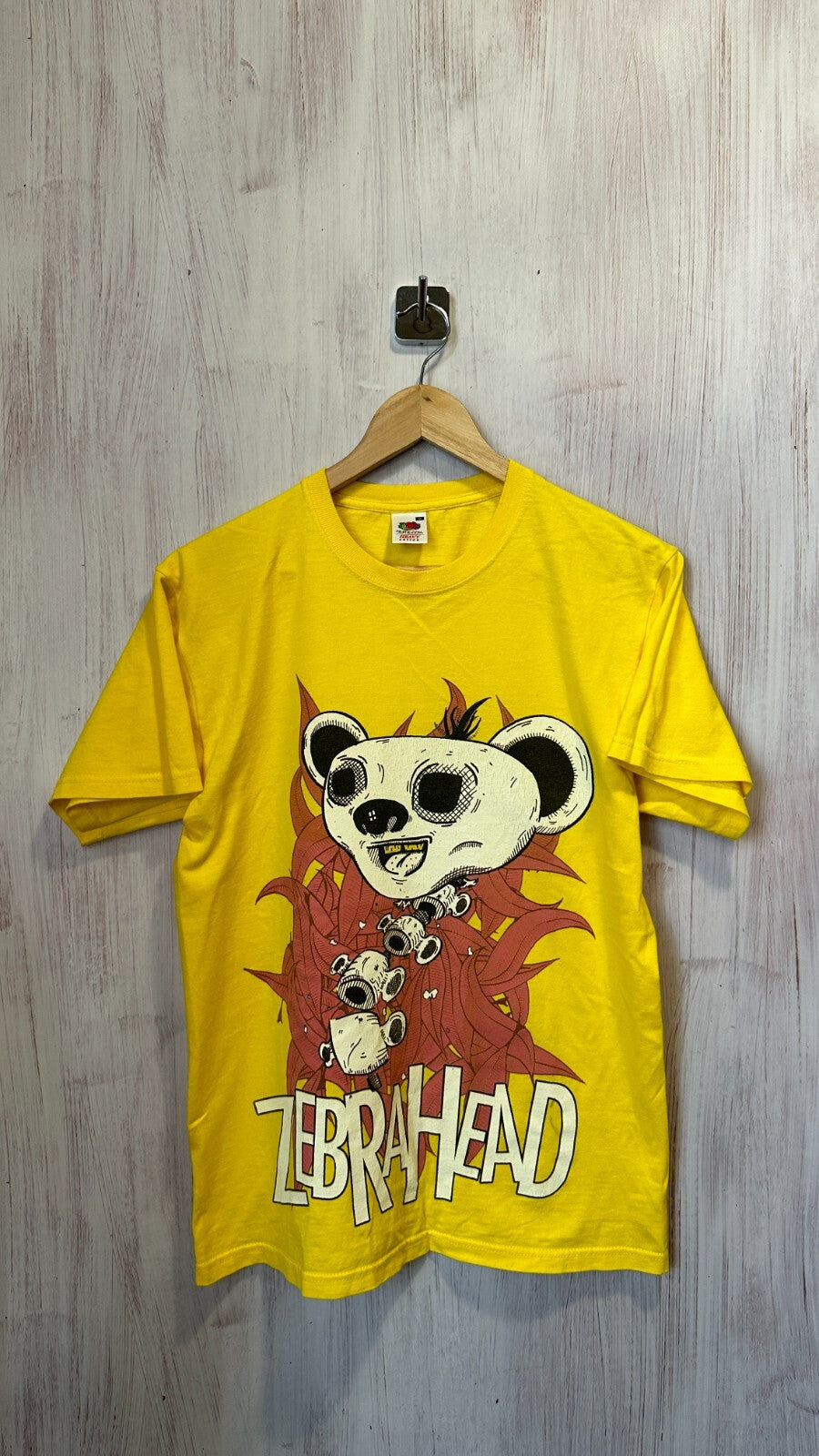 Zebrahead Size M 100% cotton Fruit of the Loom shirt Rock band t-shirt jersey