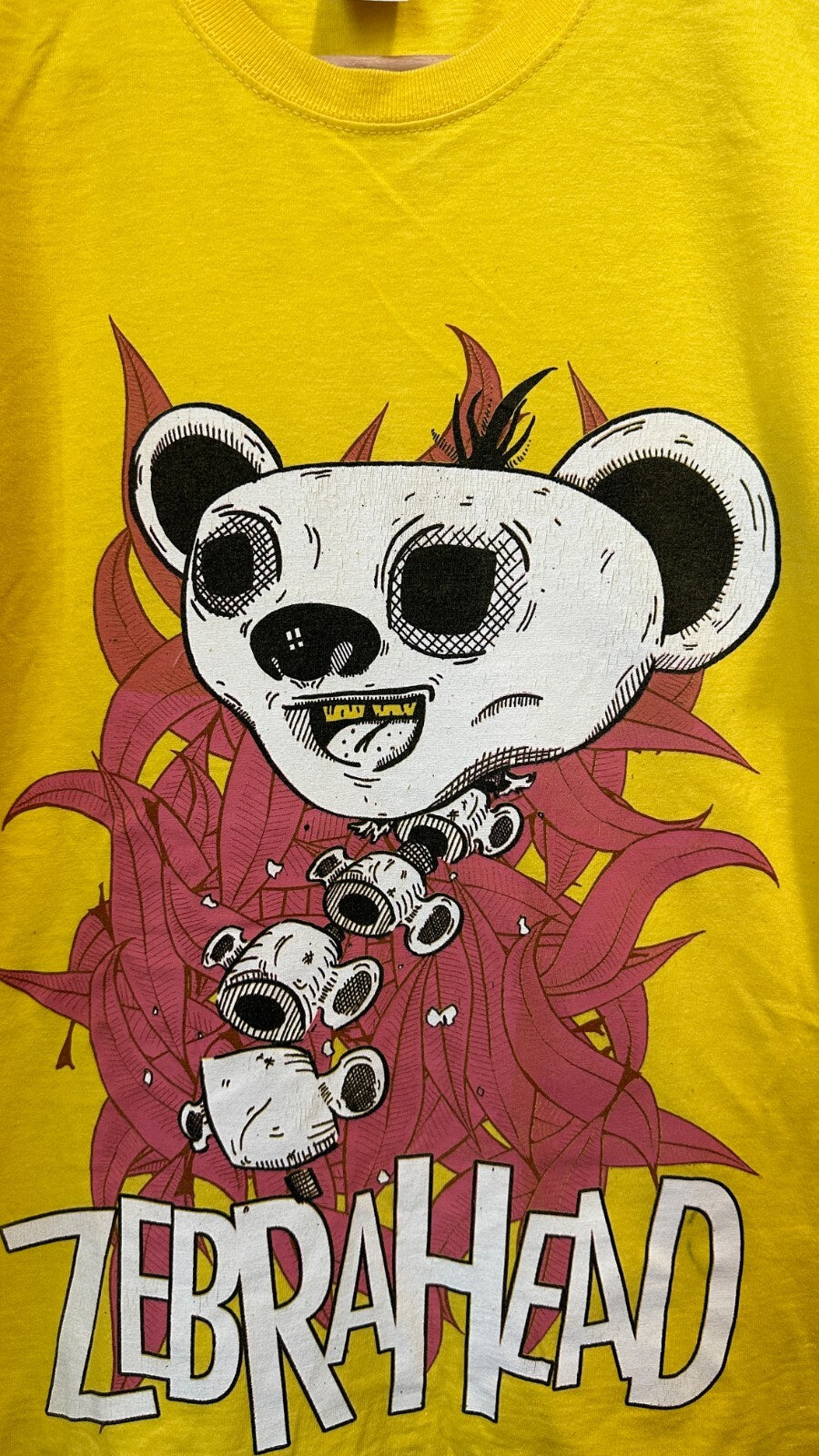 Zebrahead Size M 100% cotton Fruit of the Loom shirt Rock band t-shirt jersey