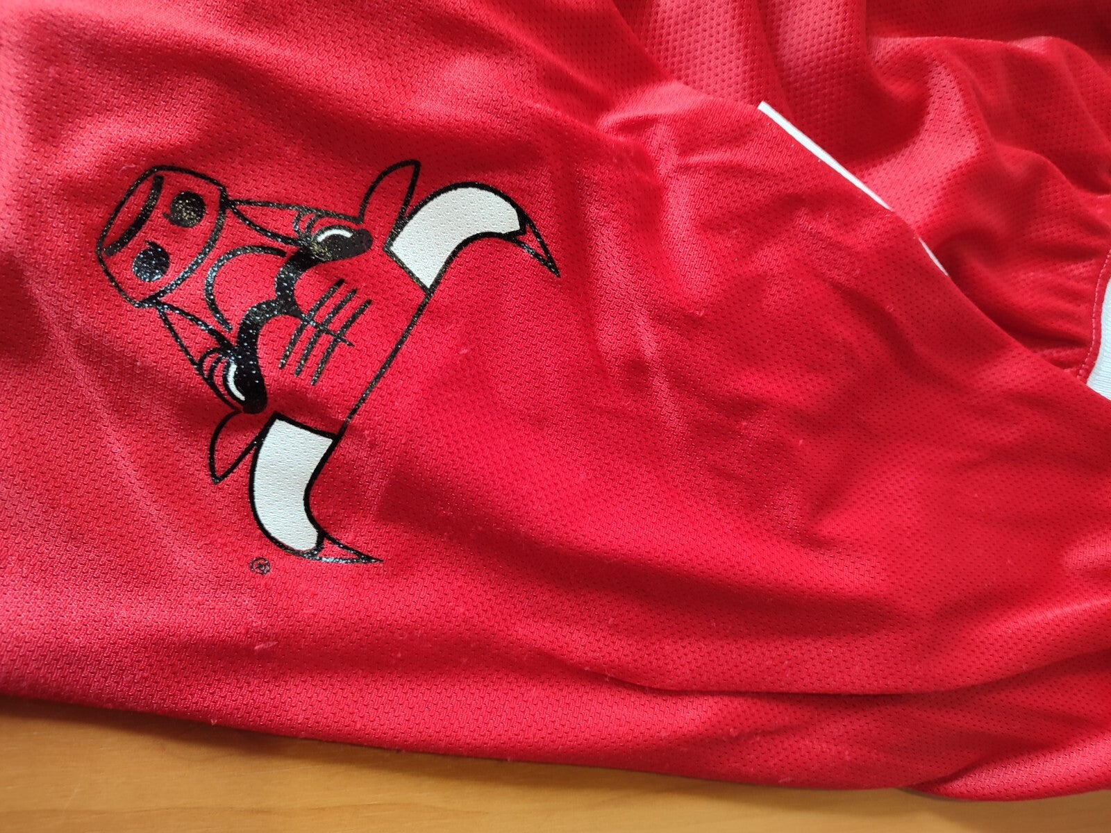 Chicago Bulls Sz XL (40-42") Basketball Champion shorts men's adult kit vintage
