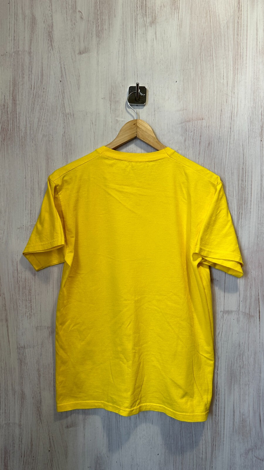 Zebrahead Size M 100% cotton Fruit of the Loom shirt Rock band t-shirt jersey