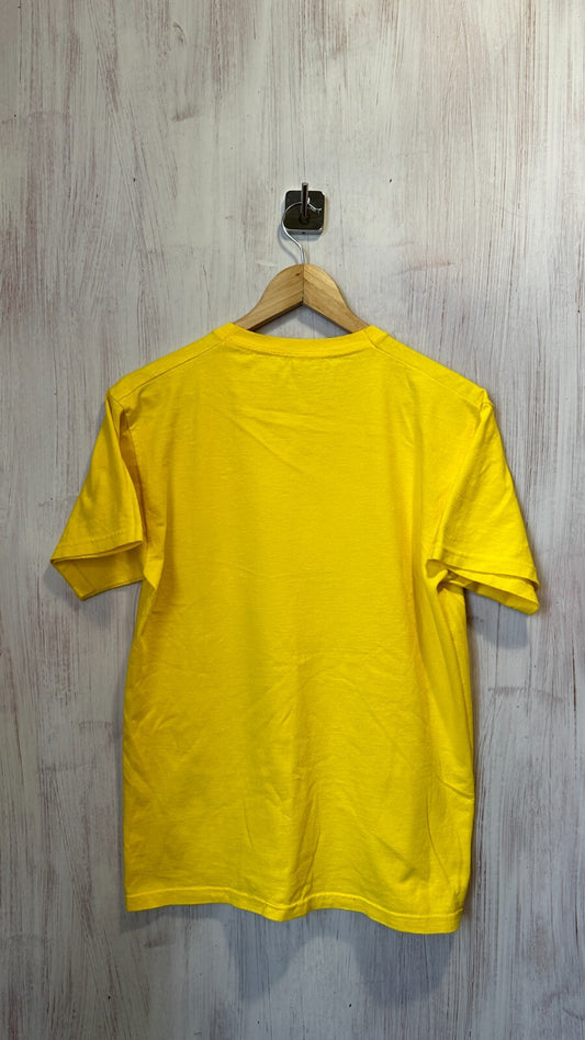 Zebrahead Size M 100% cotton Fruit of the Loom shirt Rock band t-shirt jersey