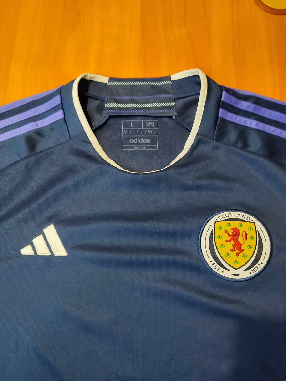 Scotland national team 2022 2023 home Sz L shirt jersey football soccer kit tee