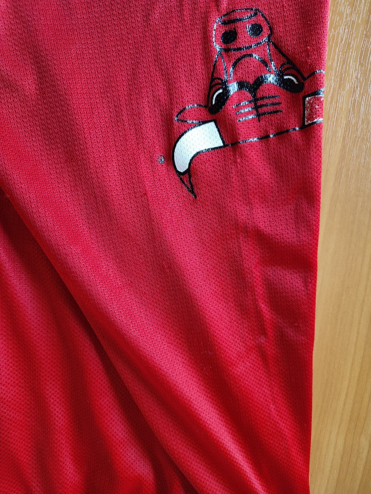 Chicago Bulls Sz XL (40-42") Basketball Champion shorts men's adult kit vintage