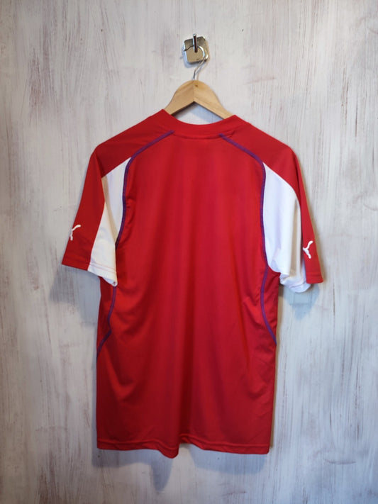 Czech Republic 2003 2004 home Sz L Puma shirt jersey trikot football soccer kit